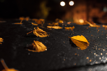 Background texture, pattern. Autumn leaves, drops of water from the rain. Car at night under a street lampの写真素材