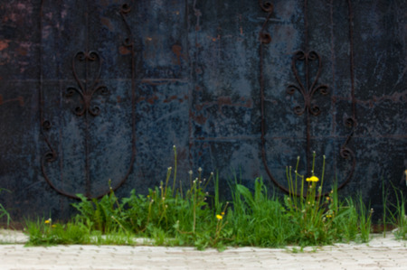 The photo is blurry for the designer. Metal gate, green grass. Texture, background, patternの写真素材