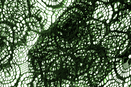 texture, background, pattern. lace fabric. green. Stunning embroidered flowers bloom on the border along both edges, while sporadically grows through the middle of pure tulle.の写真素材