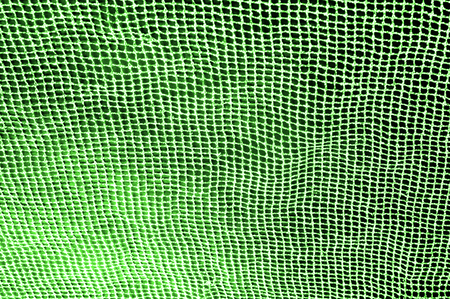 a green silver mesh fabric, with a woven metallic thread. Enjoy the eyes of this mesmerizing metal flower net. Bright and pretty clean, this acetate mesh will tell everyone.の写真素材