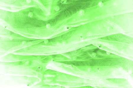 green translucent fabric, embroidered with beads. Perfect for your design, Do not miss the chance to purchase a piece of this glamorous couture material,の写真素材