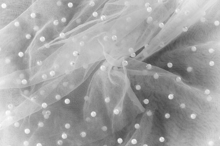 white translucent fabric, embroidered with beads. This dimensional three-dimensional floral embroidered tulle with beads and sequins can be yours!の写真素材