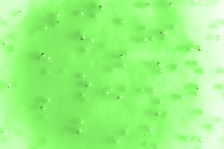 green translucent fabric, embroidered with beads. Perfect for your design, Do not miss the chance to...