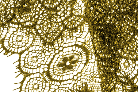 texture, background, pattern. lace fabric. golden brown. Take clues from current trends and catch this Coral Pink Sequined Floral Embraidered Netting for viewing in perspective.の写真素材