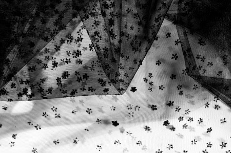 lace fabric. Black lace small on white background. Add a subtle touch to your collection with this Black Flower Chantilly Lace. Light and airy lace. Use your delicate design work. の写真素材