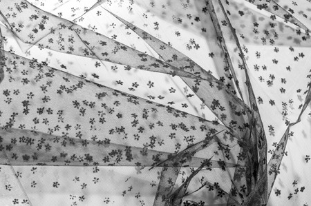 lace fabric. Black lace small on white background. Add a subtle touch to your collection with this Black Flower Chantilly Lace. Light and airy lace. Use your delicate design work. の写真素材