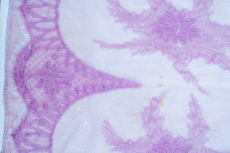 texture, pattern. the fabric is lacy pale pink. lacy pink brocade, embodying elegance. Paste it in complex tops, designs, and much more. Light with a soft hand.の写真素材