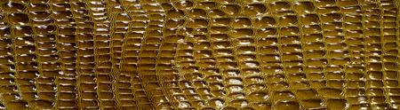 crocodile skin texture, background, green marsh pattern. Lacquered