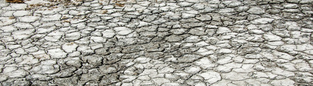 desert, wilderness, waste, sands, wilds, sahara. texture of dry land. Dry cracked earth background....