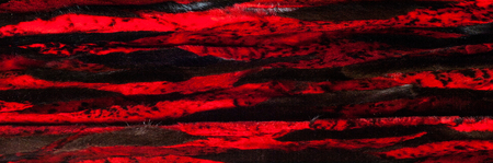 texture. background. mink fur, painted in red color