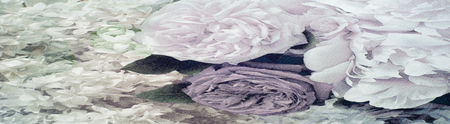 Velvet fabric, silk, jacquard. texture .     Photography Studio