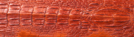 crocodile Skin. Artistic leather crocodile