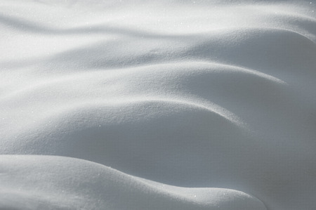 Background, Winter photography. White snow, fluffy In airy whirlwinds And quietly falls to the ground, lies down. Now he is in the world - everything is protected, And he is not afraid of the evil of frostの写真素材
