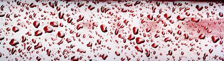 summer rain, drops of water on the car paint. a small round or pear-shaped portion of liquid that hangs or falls or adheres to a surface.の写真素材