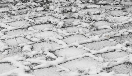 We got our first snow of the season during the night, dusting in the fall with sugar in the winter....