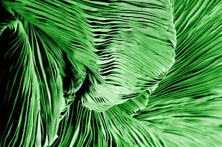 Texture, background, pattern, Fabric silk pleated green. This beautiful quality fabric has an excellent corrugated wrinkled texture, drape and semi-curved. Ideal for making your designの写真素材