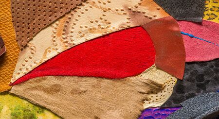 texture background pattern. decorative animal skin, bright colors painted. The panel is made by the artist. Screen printing on the skin of the animal This patterned animal is perfect for your designの写真素材