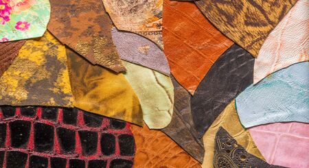 texture background pattern. decorative animal skin, bright colors painted. The panel is made by the artist. Screen printing on the skin of the animal This patterned animal is perfect for your designの写真素材