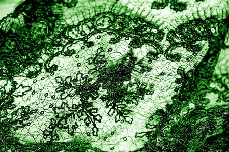 Texture, pattern, lace fabric in green on a white background. This is a subtle and classy lace of medium weight and is perfect for your design, overlays for backgrounds, other accentsの写真素材