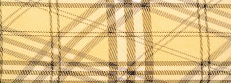 silk fabric champagne (pale fawn) Tartan checkered wallpaper patterns. Scottish checkered dress. Textile pattern of classic fabrics. Fabric textile pattern illustration.の写真素材