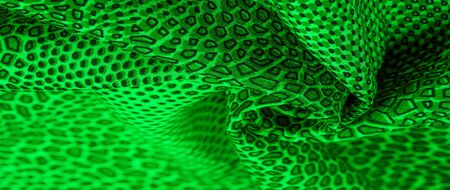green silk fabric, animal skin.の写真素材
