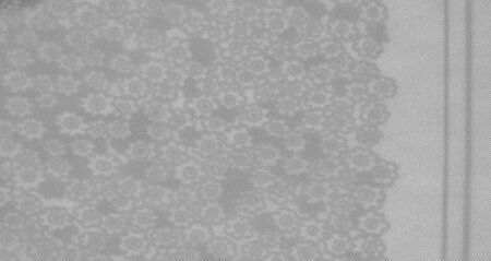 Texture pattern, black gray silk fabric on a white background, flowers pattern silhouette on white...