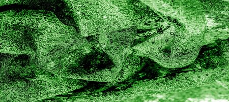 Texture, pattern, lace fabric in green on a white background.