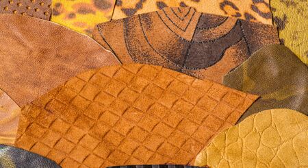 texture background pattern. decorative animal skin, bright colors painted. The panel is made by the artist. Screen printing on the skin of the animal This patterned animal is perfect for your designの写真素材