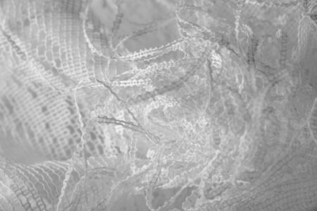 Texture, background, pattern. White tulle. Add this phenomenal nylon tulle to your design! This is a beautiful, often starchy mesh,の写真素材