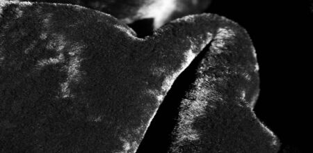 The background texture, pattern, sheepskin are used to make leather goods made of sheepskin and soft woolen clothes or coverings on the lining, including gloves, hats, slippers, footboards for feet,の写真素材