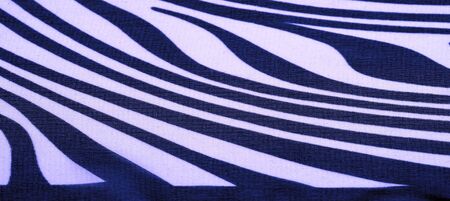texture, background, pattern, wallpaper, postcard, poster, silk fabric, blue and white abstract lines, wide oval. retro, female, pattern, shop collection, color, Fashion, Craft clothing, Artの写真素材