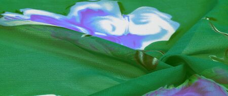 Texture, background, green silk fabric with a blue floral print. Your projects are developed in our studio by designers who have deep knowledge in the use of their final product.の写真素材