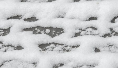 We got our first snow of the season during the night, dusting in the fall with sugar in the winter. Melted where the sun touched, snow lingers in the shade, illuminating the winter a bit.の写真素材