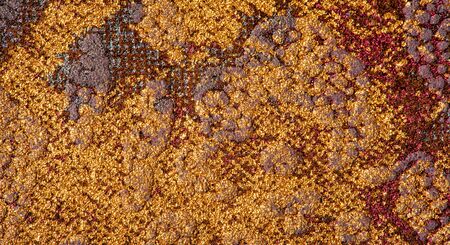 texture background pattern. decorative animal skin, bright colors painted. The panel is made by the artist. Screen printing on the skin of the animal This patterned animal is perfect for your designの写真素材