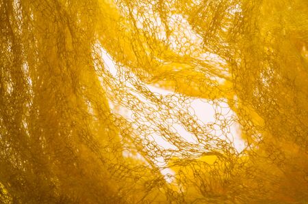 Texture background, pattern. Mesh yellow fabric. Ideal for accents on your design, wallpapers and...