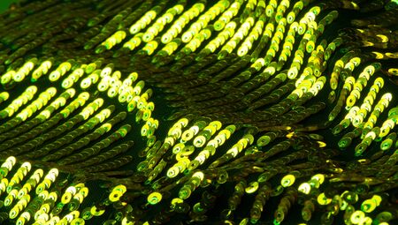 pattern background texture fabric with sequins Die and light this dazzling fabric This heavy fabric has a mesh base with large multi-colored sparkles on the front side It is perfect for your projectsの写真素材