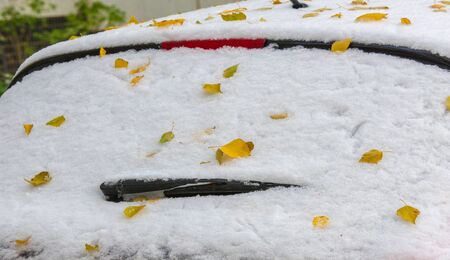 We got our first snow of the season during the night, dusting in the fall with sugar in the winter. Melted where the sun touched, snow lingers in the shade, illuminating the winter a bit.の写真素材