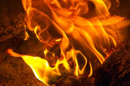 Fire in its most common form can lead to a fire that can cause physical damage when burning. Fire is...