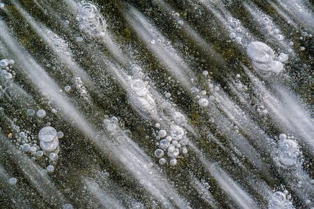 Autumn landscape of photography, Maple tree or shrub with lobed leaves, winged fruits, and colorful autumn foliage, grown as an ornamental or for its timber or syrupy sap.の写真素材