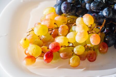 Grapes can be eaten fresh as table grapes or they can be used for making wine, jam, juice, jelly, grape seed extract, raisins, vinegar, and grape seed oil. Grapes are a non-climacteric type of fruitの写真素材