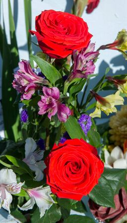 Bouquet of flowers. an attractively arranged bunch of flowers, especially one presented as a gift or...