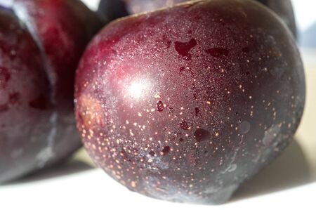 Plum Fruit tree with small juicy edible fruits, which have a large bone,. an oval fleshy fruit that is purple, reddish, or yellow when ripe and contains a flattish pointed pit.の写真素材