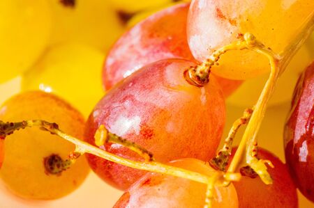 Grapes can be eaten fresh as table grapes or they can be used for making wine, jam, juice, jelly, grape seed extract, raisins, vinegar, and grape seed oil. Grapes are a non-climacteric type of fruitの写真素材