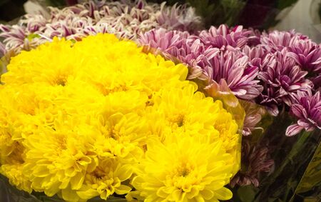 Bouquet of flowers. an attractively arranged bunch of flowers, especially one presented as a gift or carried at a ceremony.   nose, flavourの写真素材