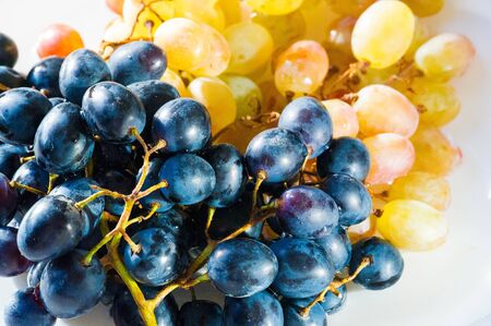 Grapes can be eaten fresh as table grapes or they can be used for making wine, jam, juice, jelly,...