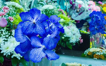 Bouquet of flowers. an attractively arranged bunch of flowers, especially one presented as a gift or...