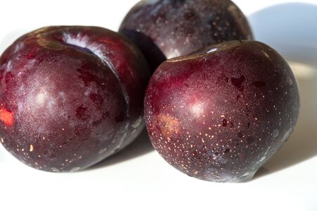Plum Fruit tree with small juicy edible fruits, which have a large bone,. an oval fleshy fruit that is purple, reddish, or yellow when ripe and contains a flattish pointed pit.の写真素材