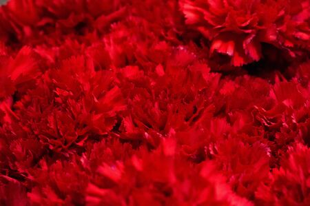 A flower bouquet is a collection of flowers in a creative arrangement. Flower bouquets can be arranged for the decor of homes or public buildings, or may be handheld.の写真素材