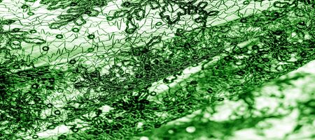 Texture, pattern, lace fabric in green on a white background. This is a subtle and classy lace of...