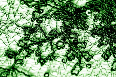 Texture, pattern, lace fabric in green on a white background. This is a subtle and classy lace of medium weight and is perfect for your design, overlays for backgrounds, other accentsの写真素材